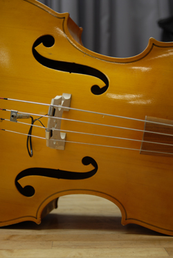 bass bass